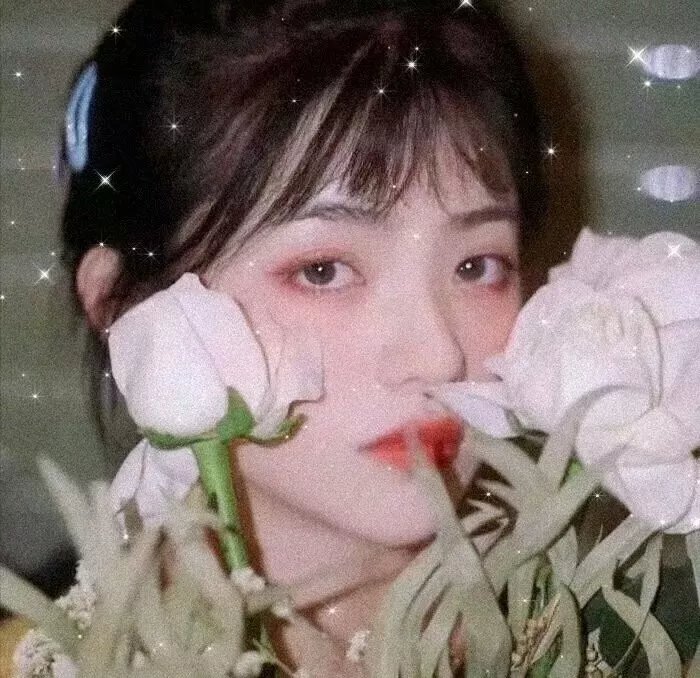 舞女大盗